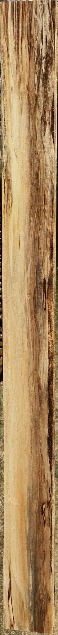 Figured Spalted Hackberry Lumber