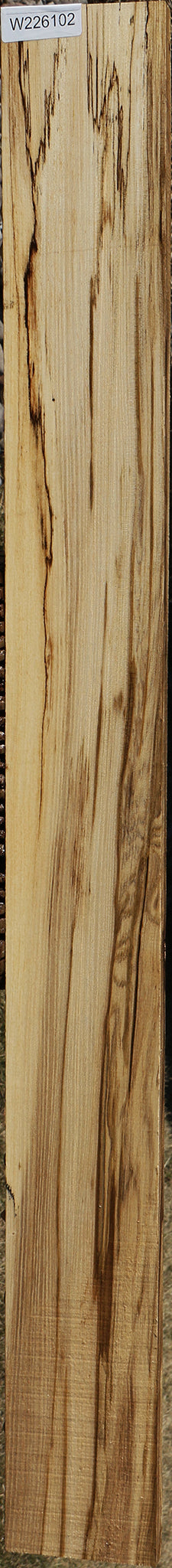 Extra Fancy Spalted Hackberry Lumber