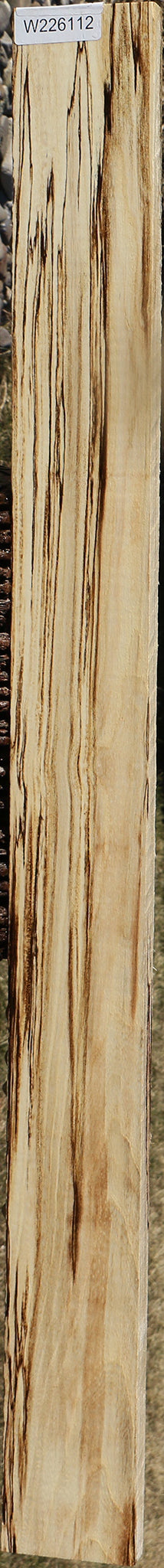 Extra Fancy Spalted Hackberry Lumber