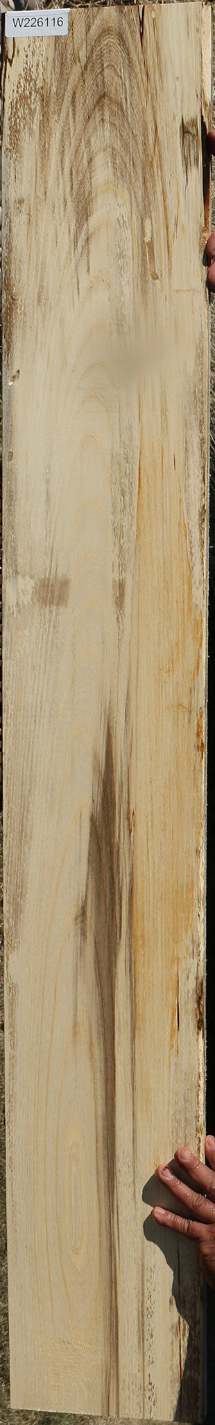 Figured Spalted Hackberry Lumber