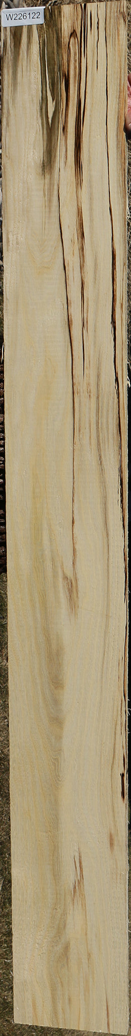 Figured Spalted Hackberry Lumber