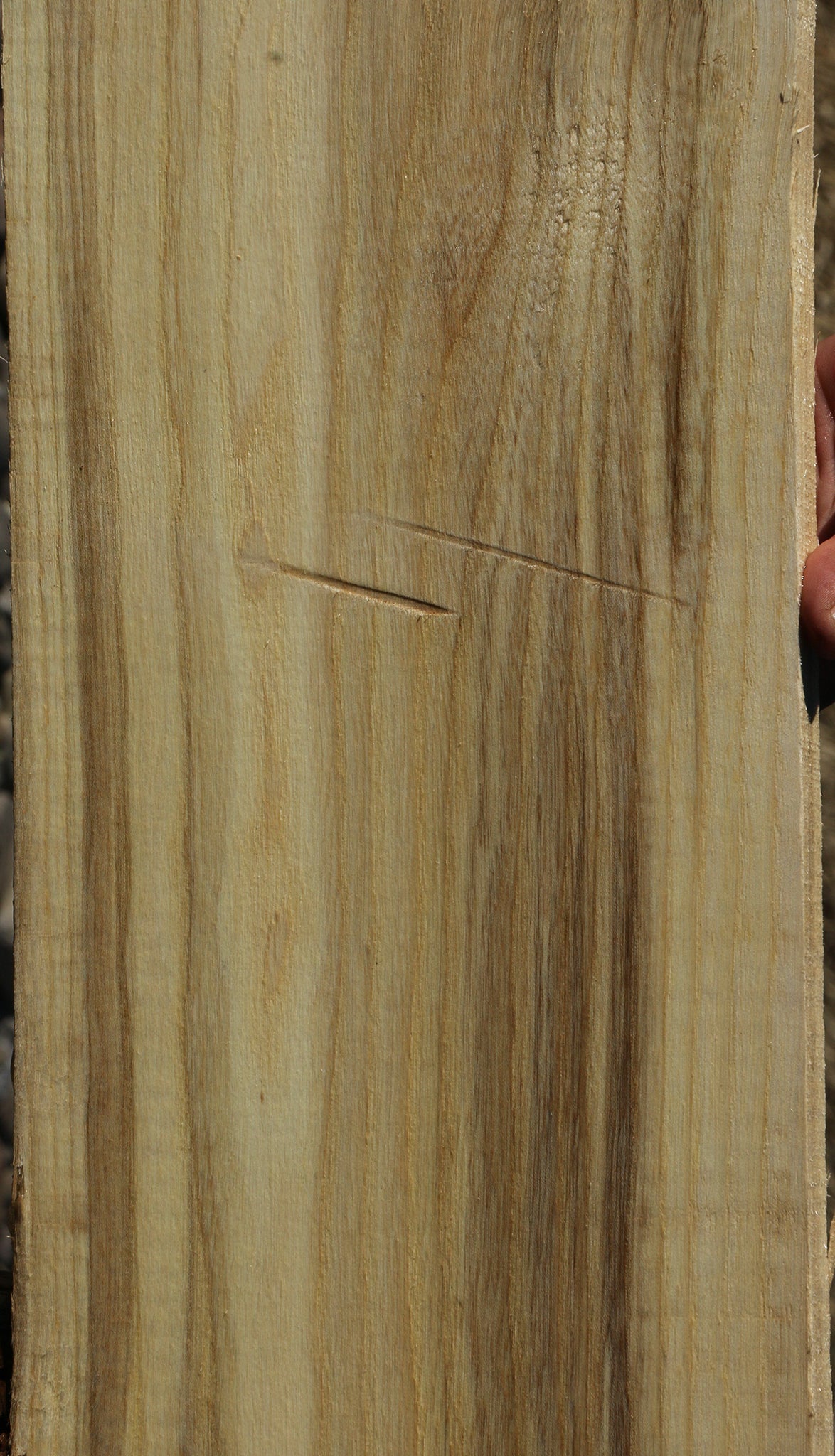 Figured Spalted Hackberry Lumber