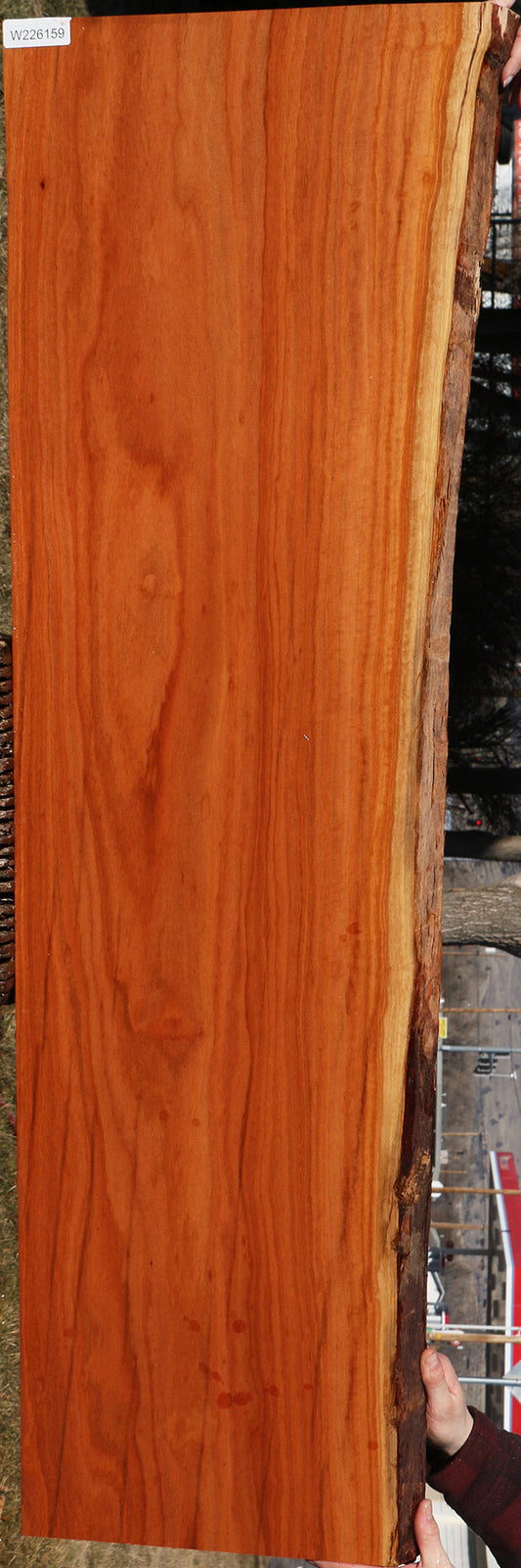 Figured Red Ironbark Live Edge Lumber