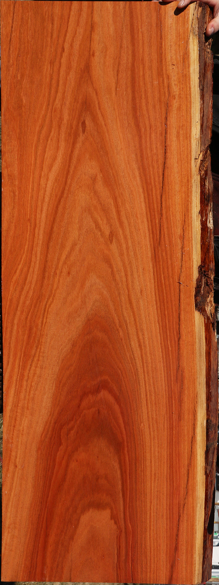 Figured Red Ironbark Live Edge Lumber