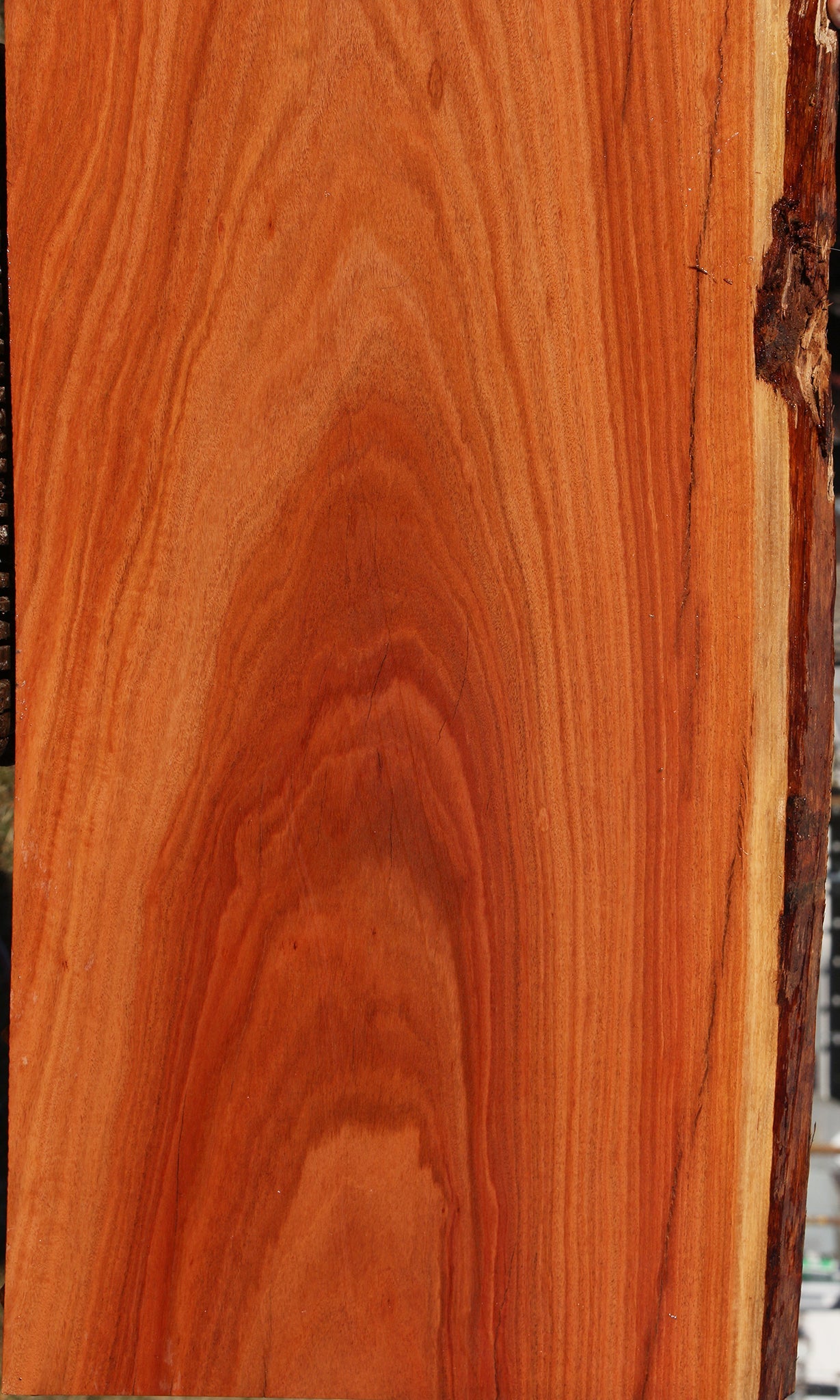Figured Red Ironbark Live Edge Lumber