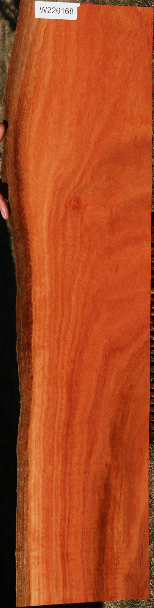Extra Fancy Red Ironbark Live Edge Lumber