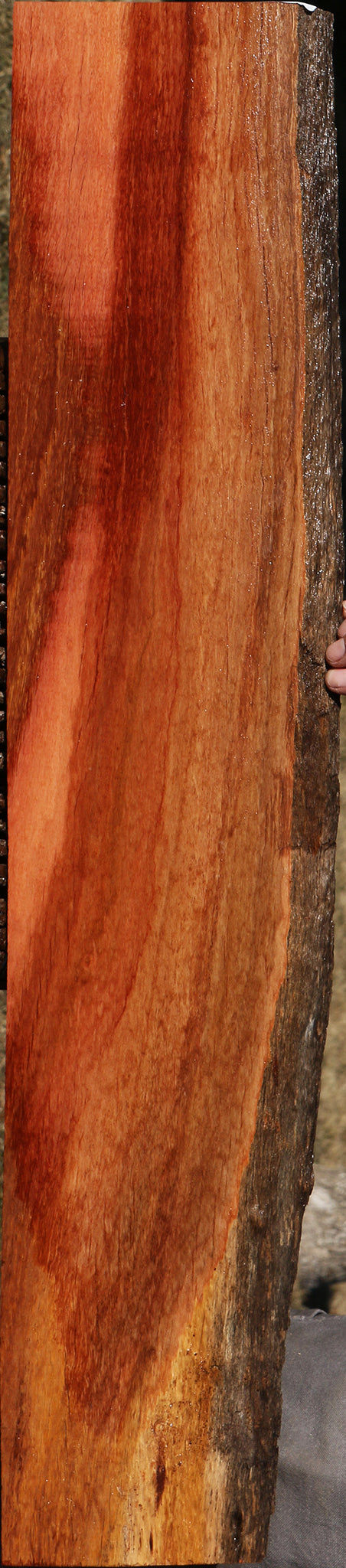 Figured Rustic Red Ironbark Live Edge Lumber