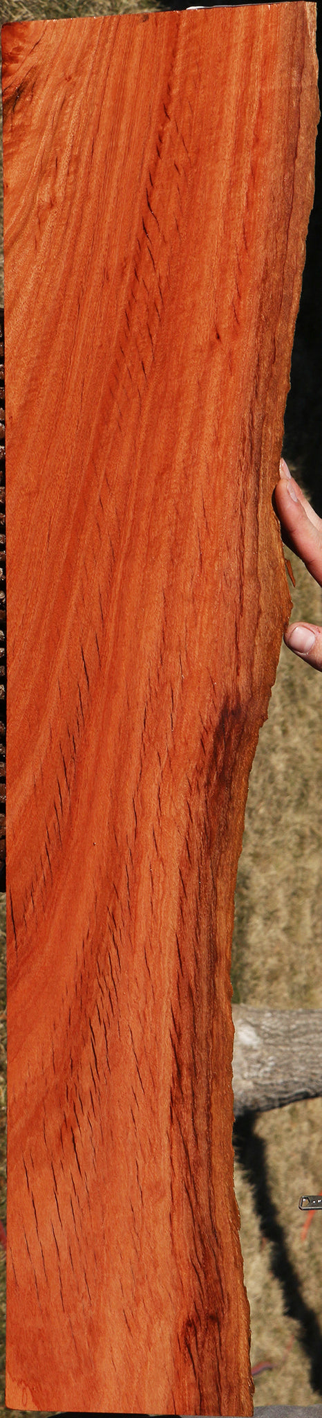 Rustic Red Ironbark Live Edge Lumber