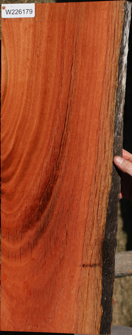 Rustic Red Ironbark Live Edge Lumber