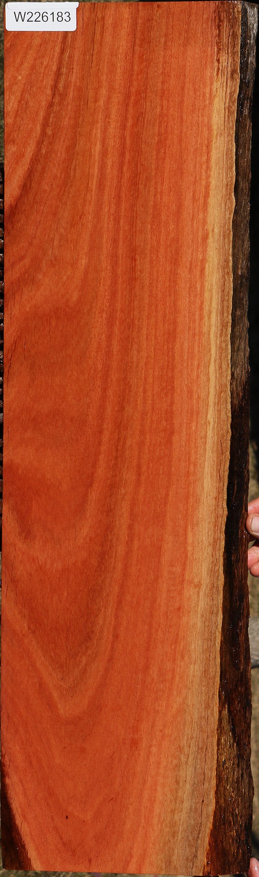Rustic Red Ironbark Live Edge Micro Lumber