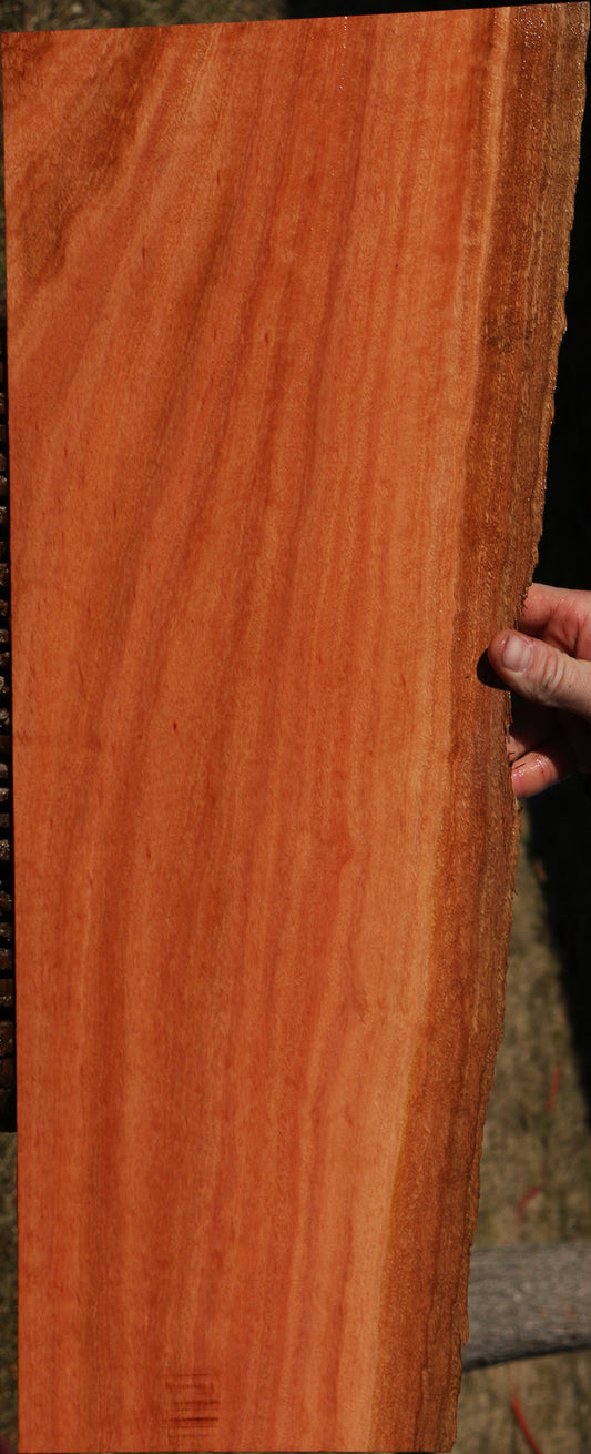 Figured Red Ironbark Live Edge Lumber