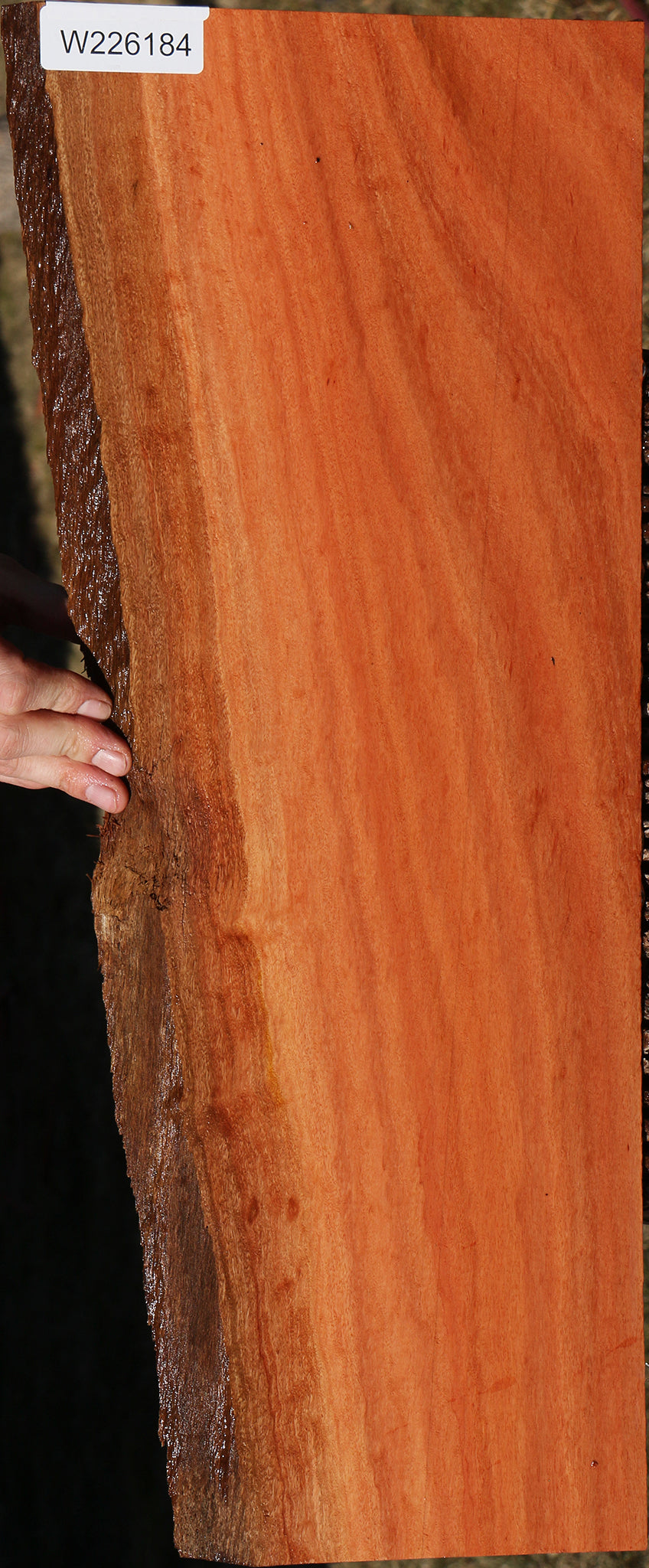 Figured Red Ironbark Live Edge Lumber