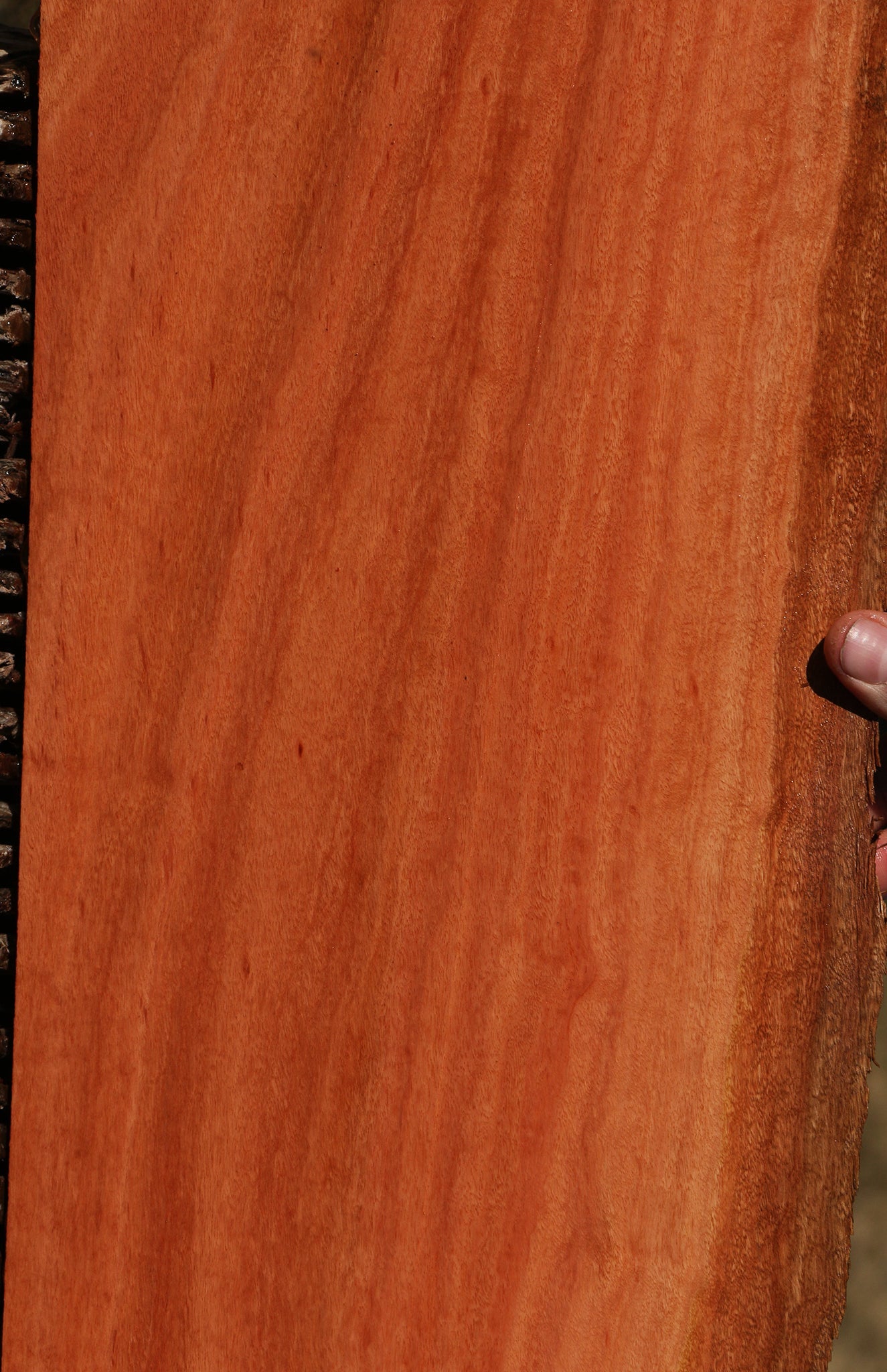 Figured Red Ironbark Live Edge Lumber