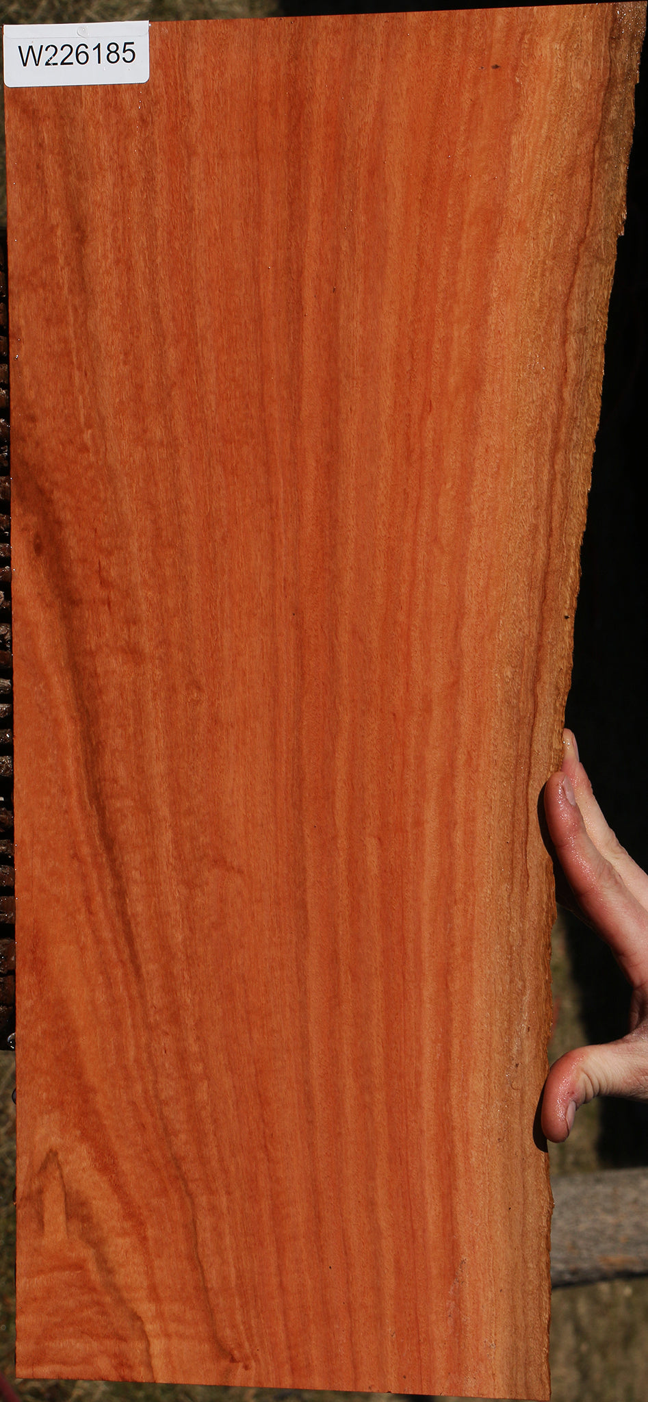 Figured Red Ironbark Live Edge Lumber