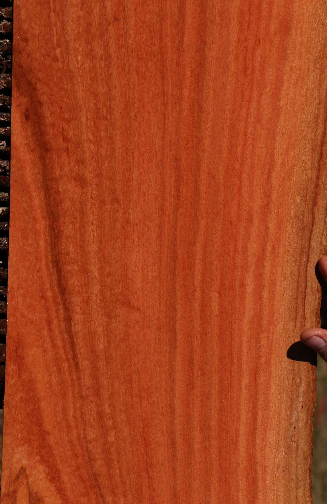 Figured Red Ironbark Live Edge Lumber