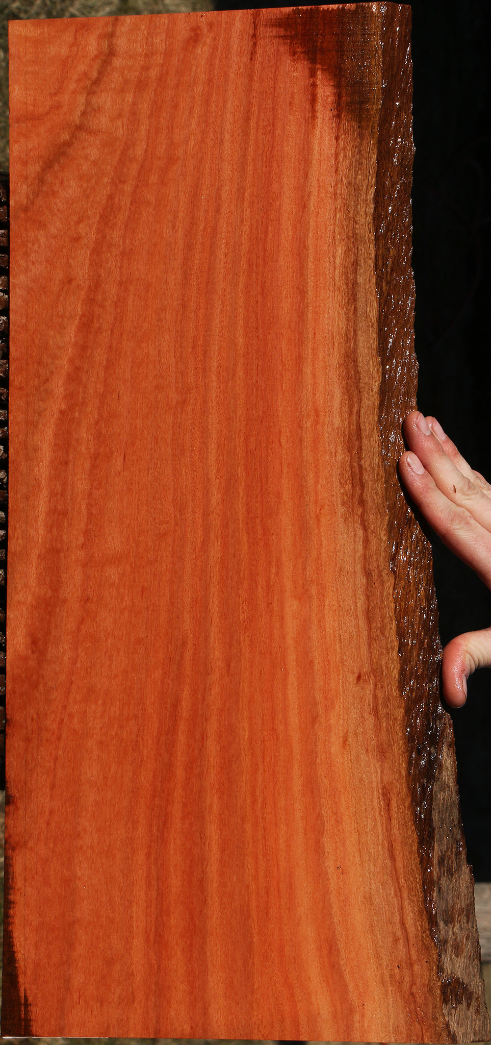 Figured Red Ironbark Live Edge Lumber