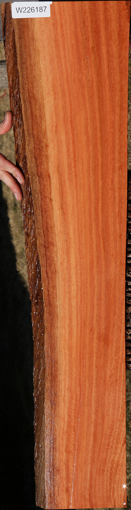 Figured Red Ironbark Live Edge Lumber