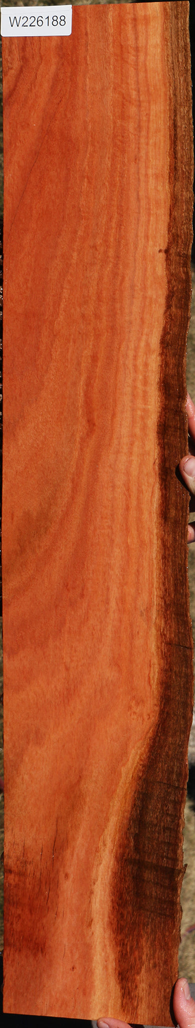 Extra Fancy Red Ironbark Live Edge Lumber