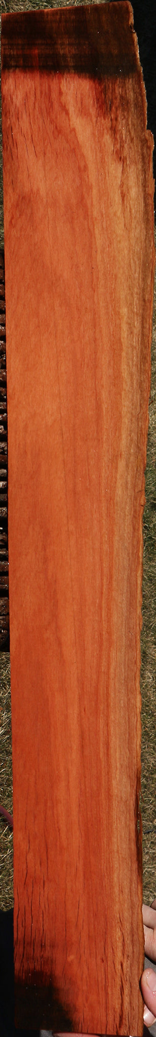 Figured Red Ironbark Live Edge Lumber