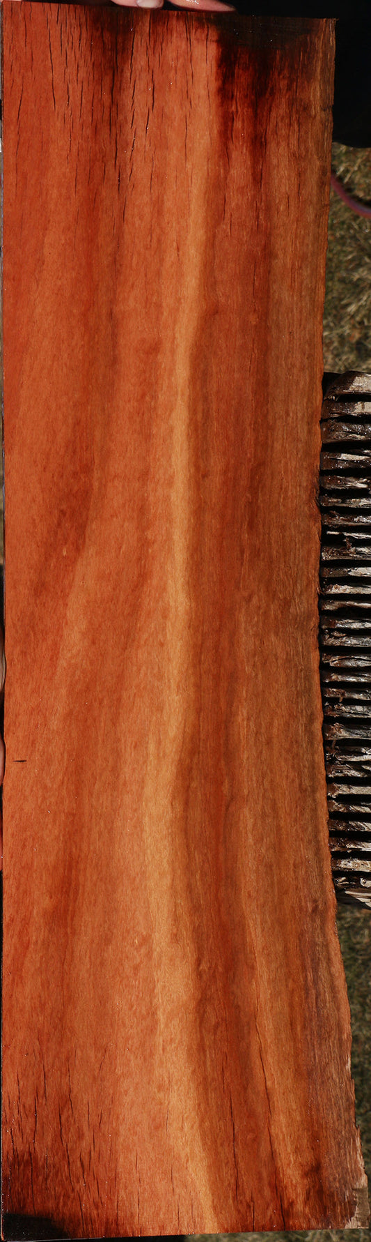 Extra Fancy Red Ironbark Live Edge Lumber