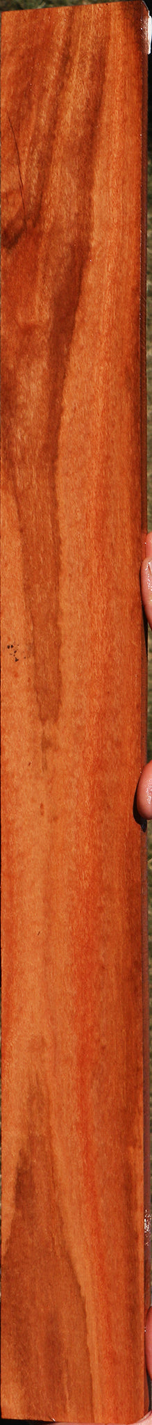 Extra Fancy Red Ironbark Lumber