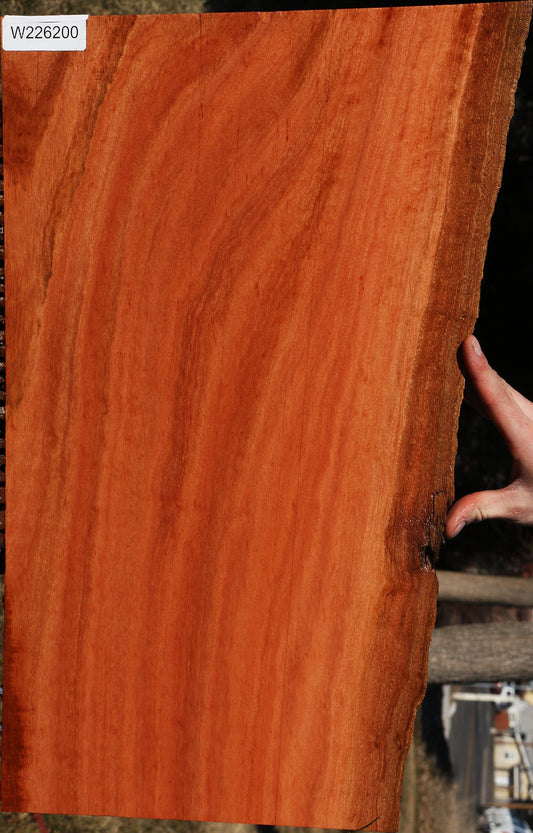 Figured Red Ironbark Live Edge Lumber