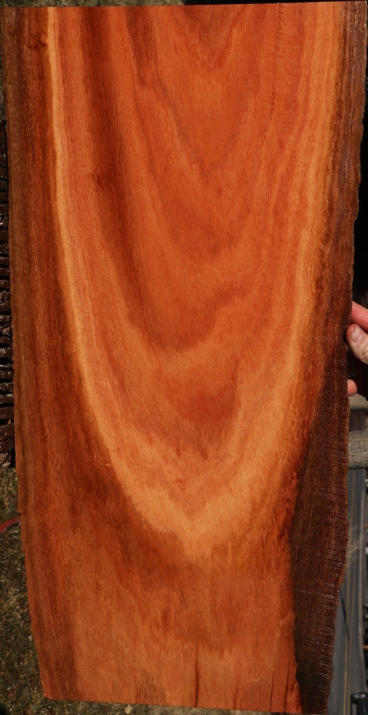 Figured Red Ironbark Live Edge Lumber