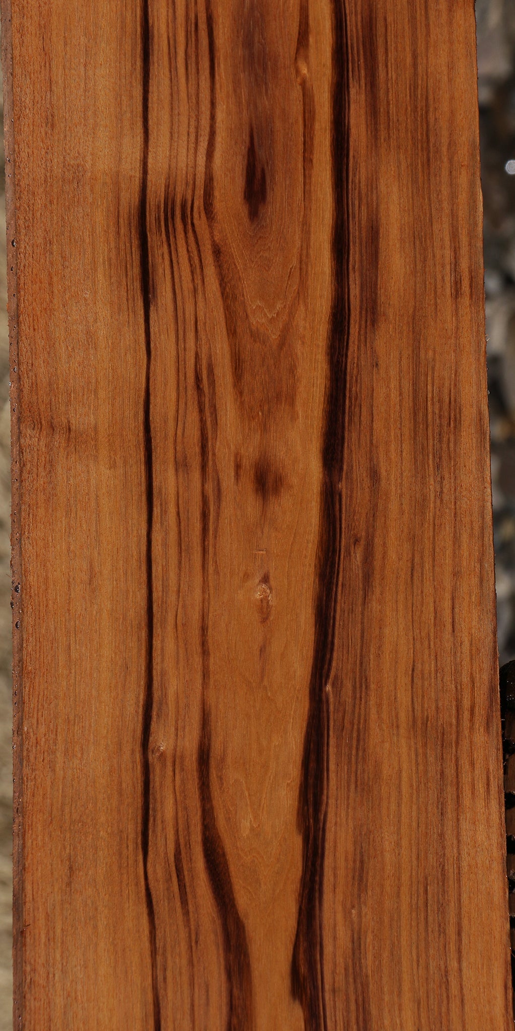 Patagonian Rosewood Lumber