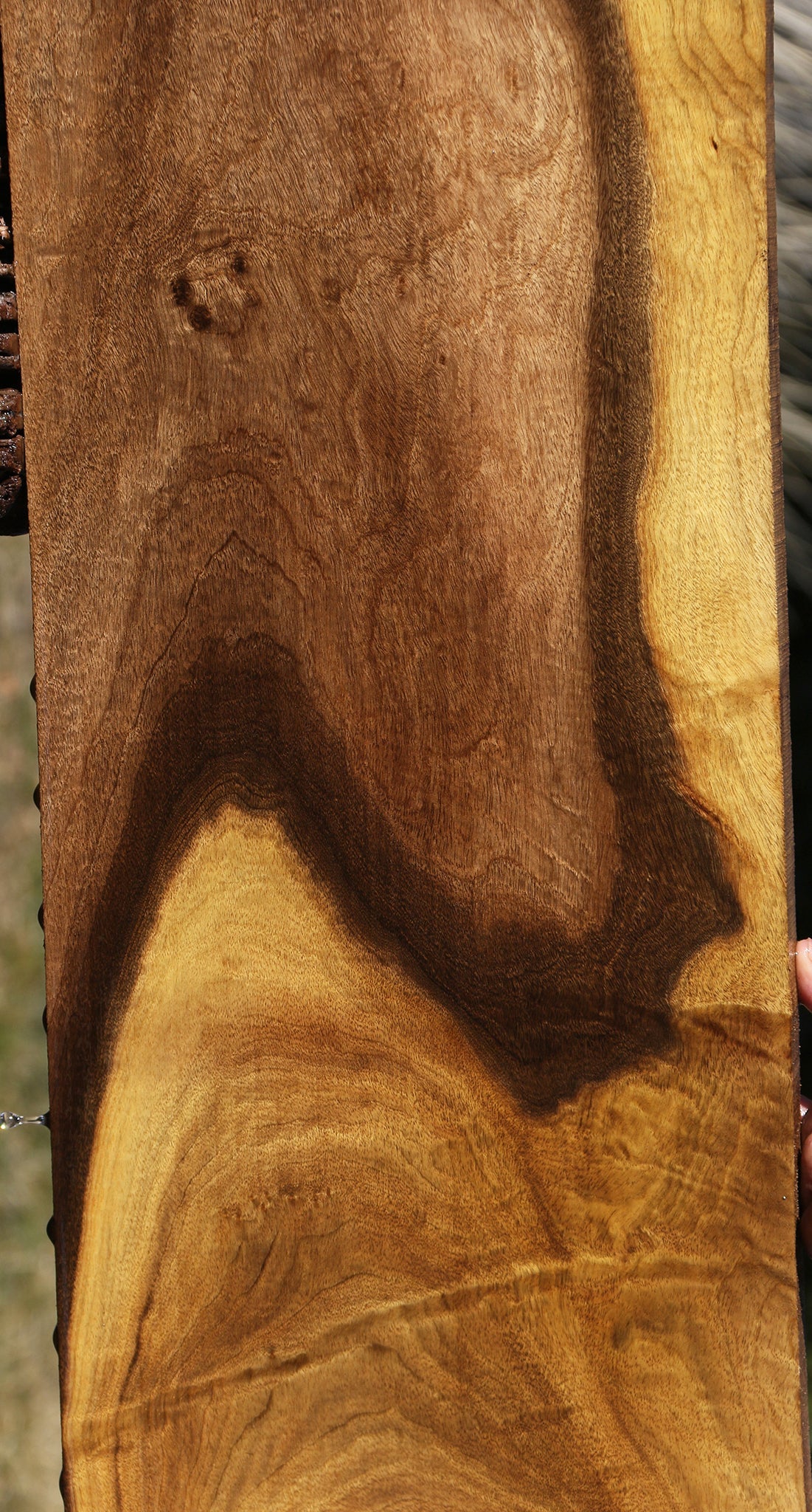 Figured Gold Myrtle Instrument Lumber