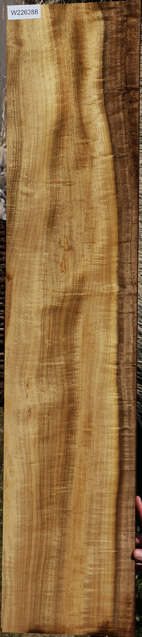 Figured Quartersawn Myrtle Instrument Lumber