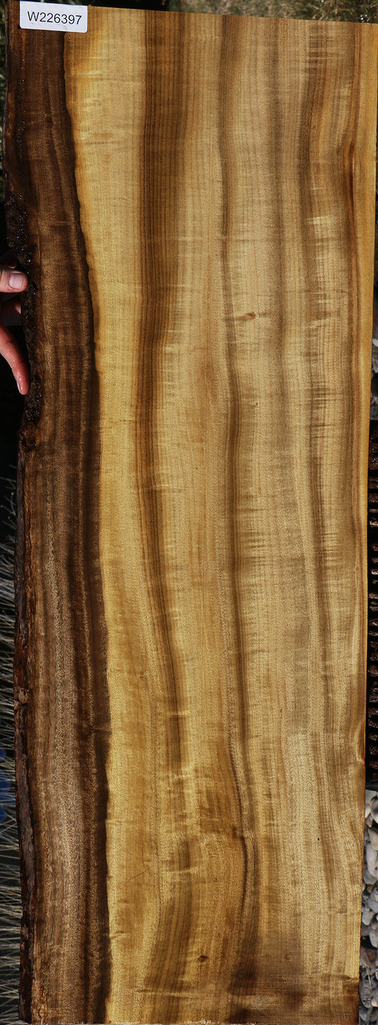 Figured Quartersawn Myrtle Live Edge Instrument Lumber
