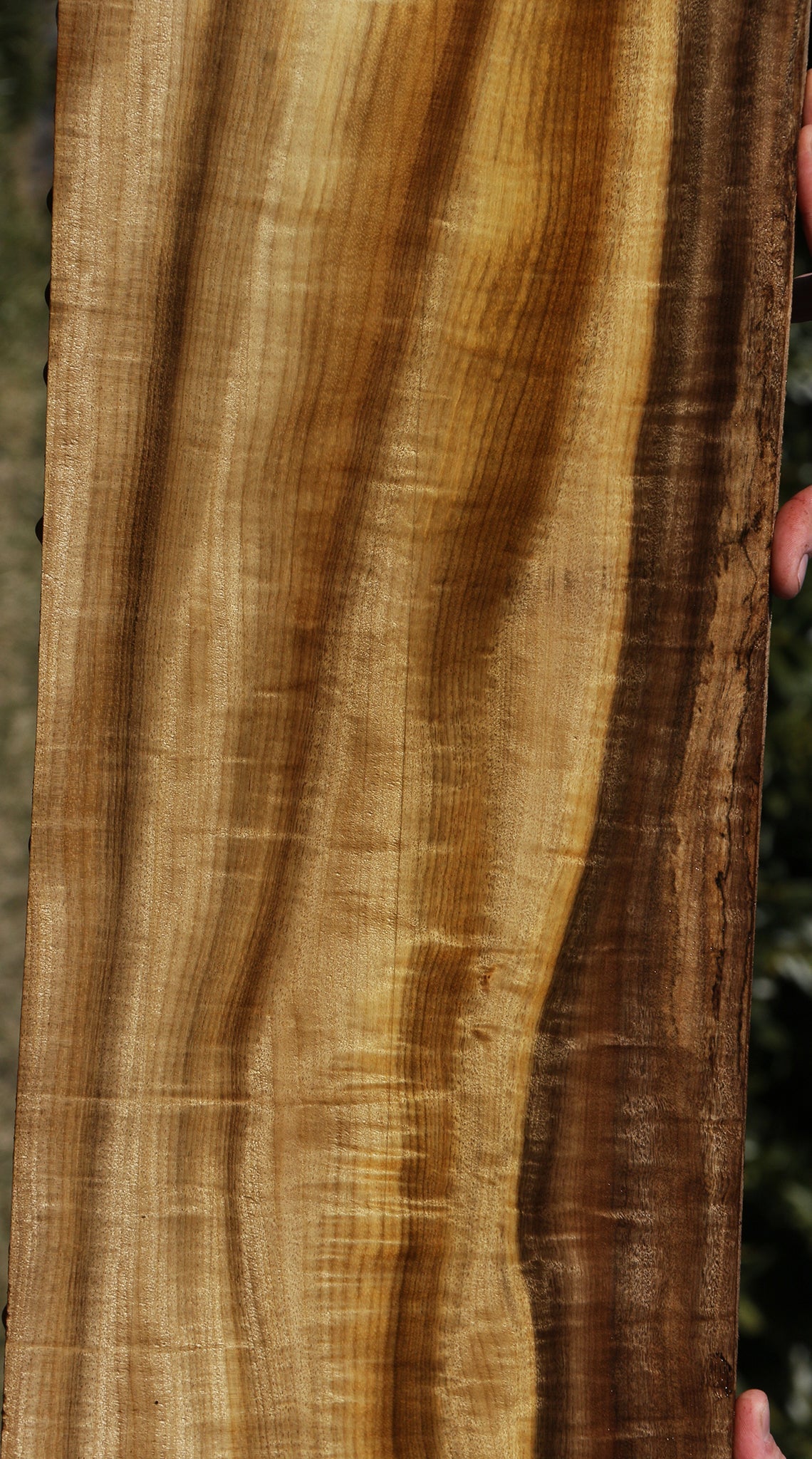 Figured Quartersawn Myrtle Lumber