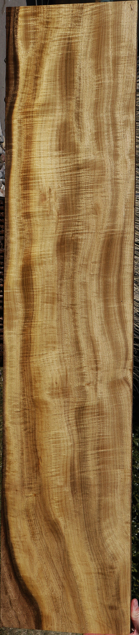 Figured Myrtle Instrument Lumber