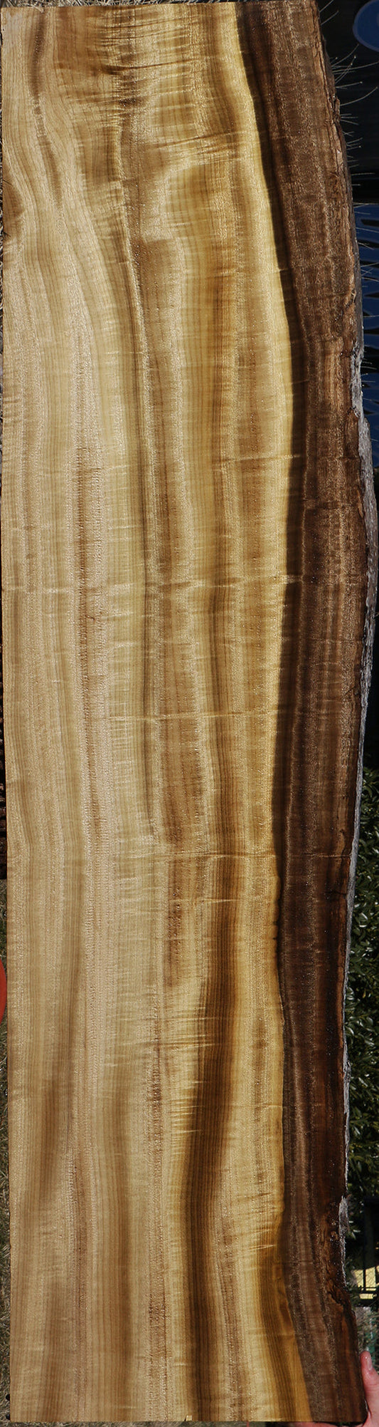 Figured Myrtle Live Edge Instrument Lumber