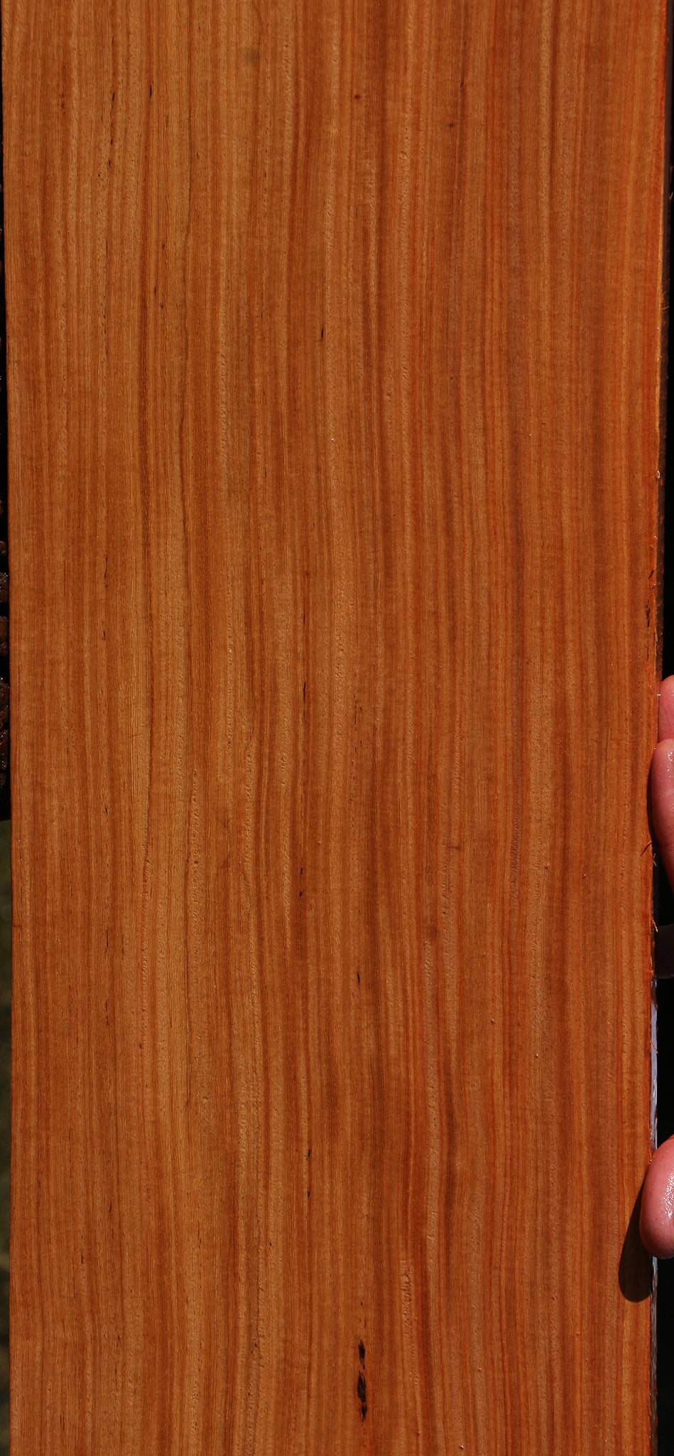 Quartersawn Pau Rosa Lumber