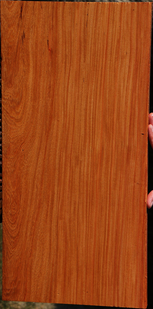 Pau Rosa Instrument Lumber