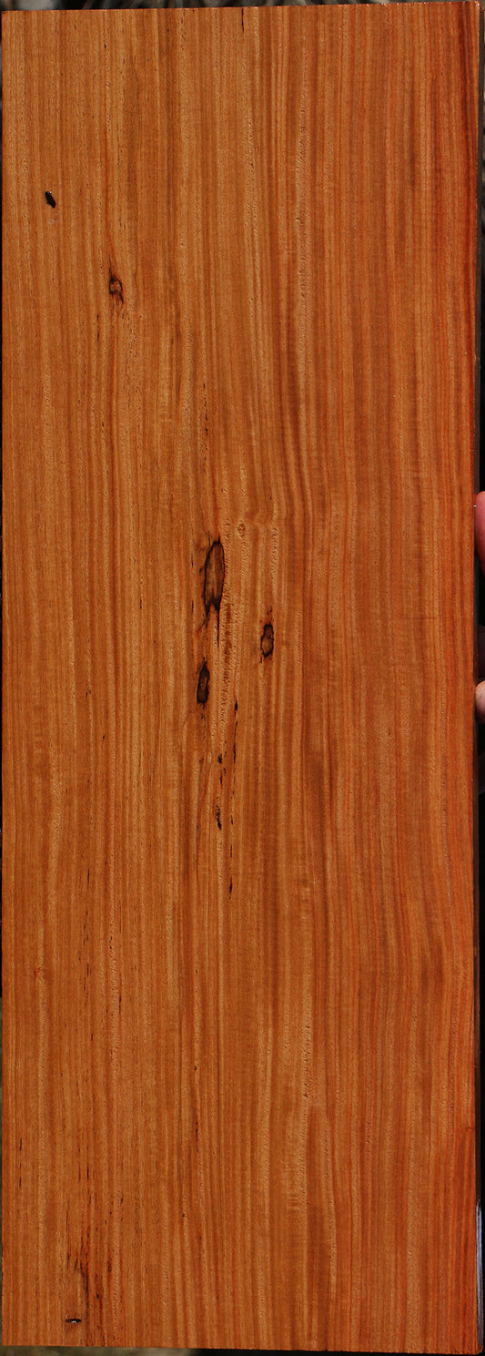 Pau Rosa Instrument Lumber