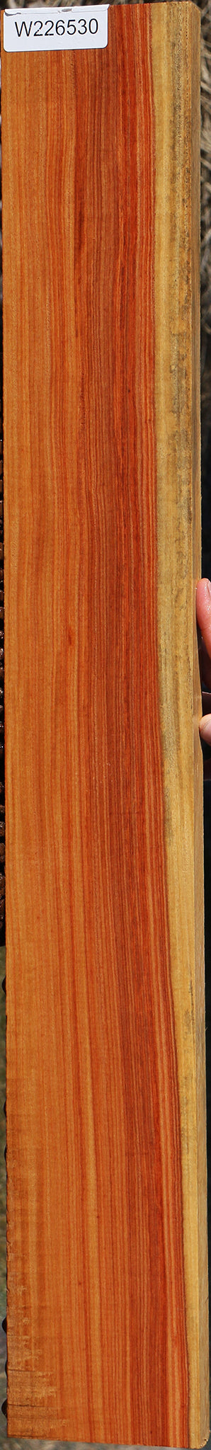 Pau Rosa Instrument Lumber