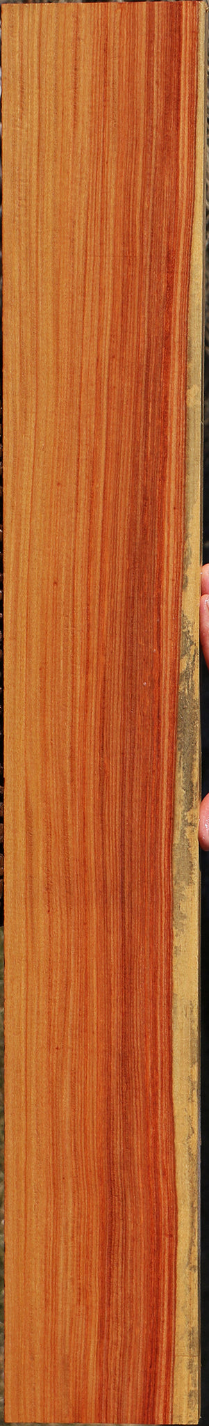 Pau Rosa Instrument Lumber