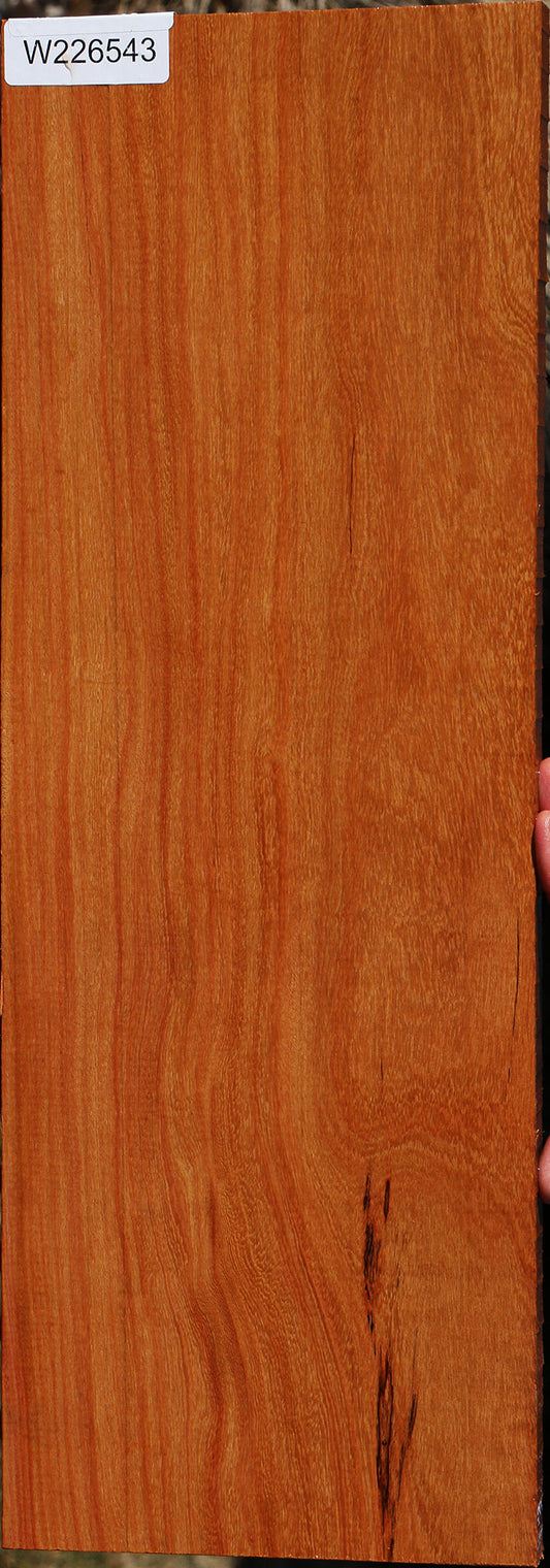 Pau Rosa Instrument Lumber