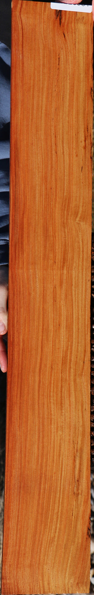 Pau Rosa Micro Lumber