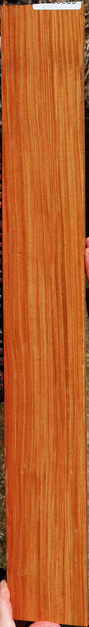 Pau Rosa Micro Lumber