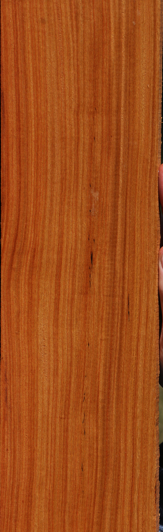 Pau Rosa Micro Lumber