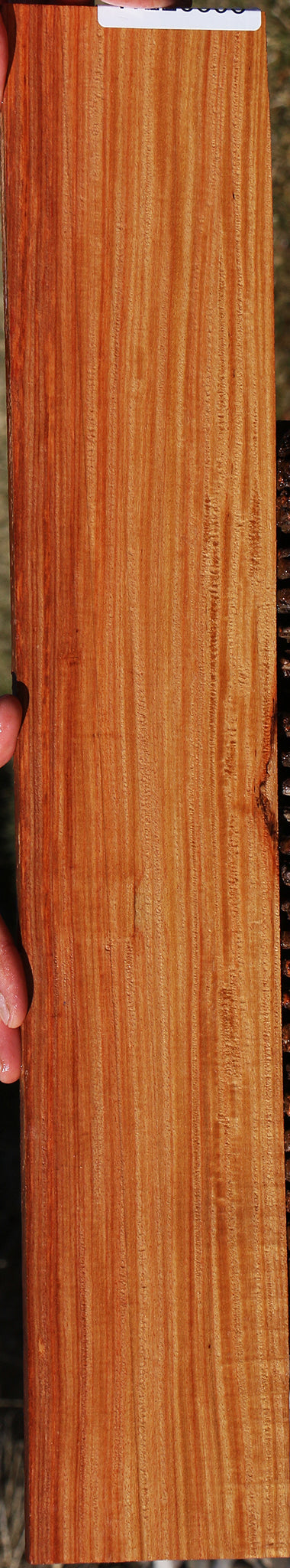 Pau Rosa Micro Lumber