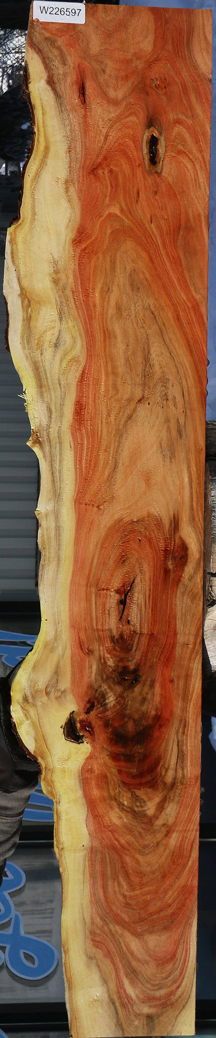 Carob Live Edge Lumber