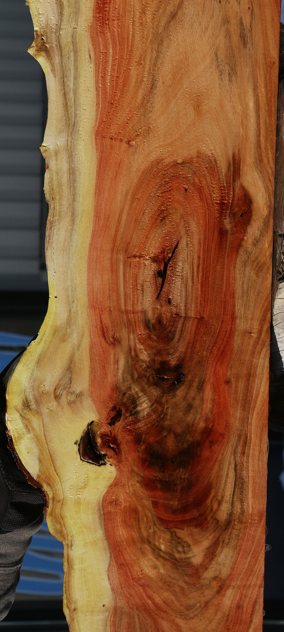 Carob Live Edge Lumber
