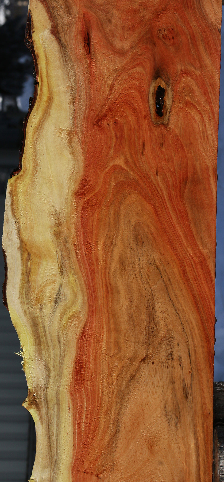 Carob Live Edge Lumber