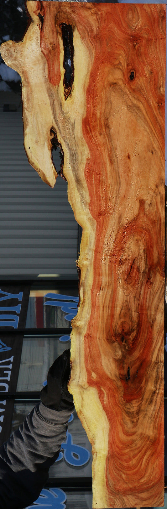 Carob Live Edge Lumber