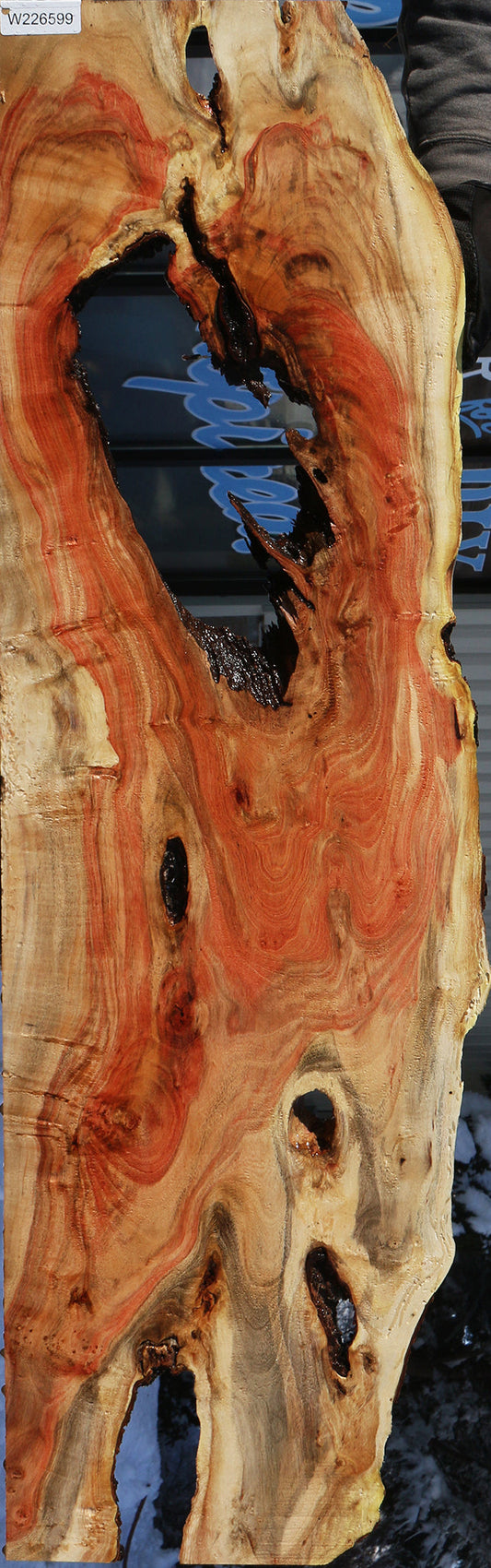 Carob Live Edge Lumber