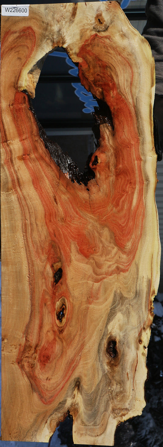 Carob Live Edge Lumber